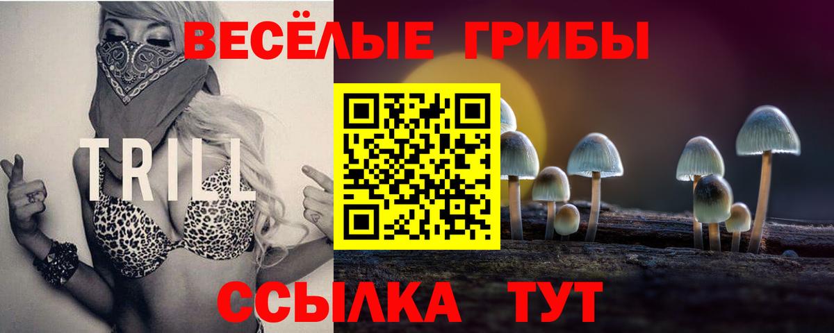 Галлюциногенные грибы Magic Shrooms  Вход с VPN  Карпинск 